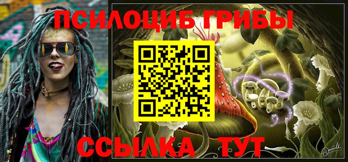 Псилоцибиновые грибы Cubensis Оренбург